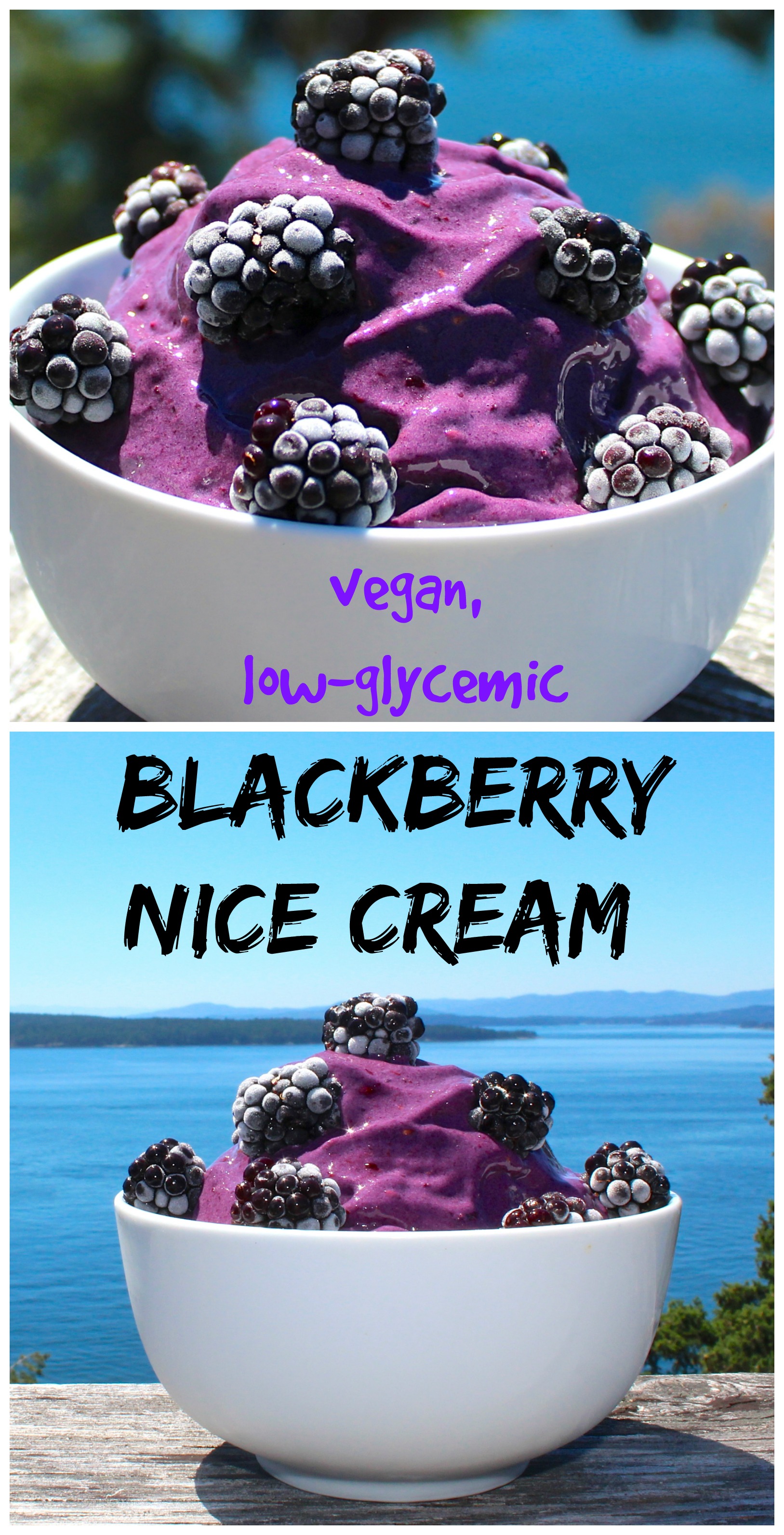 Vegan Low-glycemic Blackberry Nice Cream